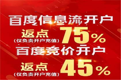 百度推广策略揭秘：某行业领头羊的成功经验